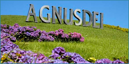 Bodegas Agnusdei