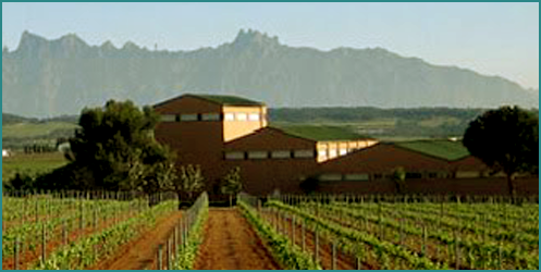 Bodega Cachín