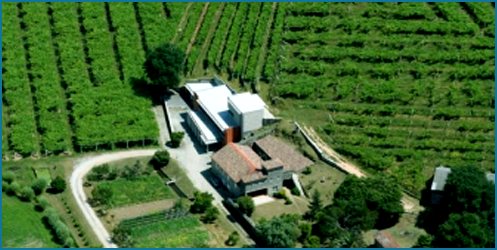 Bodegas Carballal